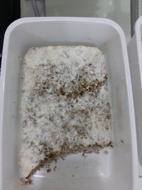 20161003_172648.jpg