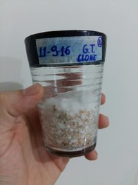 20161003_173255.jpg