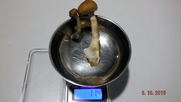 DSCF3113.JPG