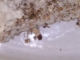 20161006_191252.jpg