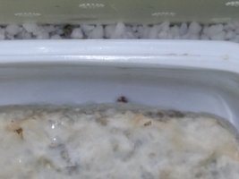 20161006_191355.jpg