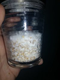 copo 2c.jpg