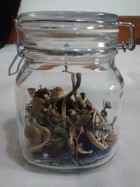 IMG_20160420_090652621.jpg