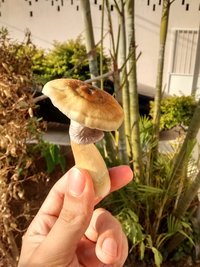 IMG_20160504_WA0003.jpg