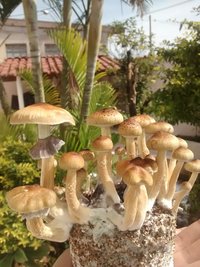 IMG_20160714_WA0001.jpg