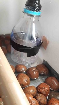 coool.jpg