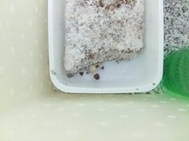 20161007_174319.jpg