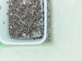 20161007_174344.jpg