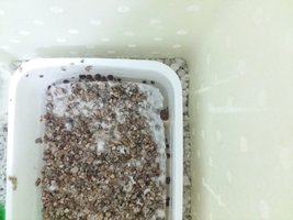 20161007_174353.jpg