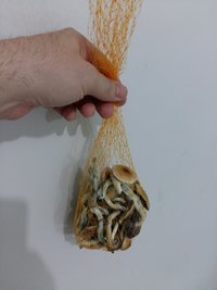 20161009_201420.jpg