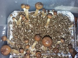20161013_054105.jpg