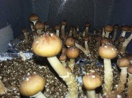 20161013_054225.jpg