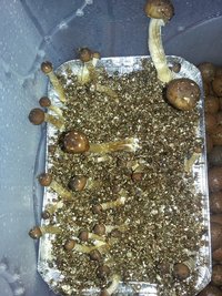 20161013_054354.jpg