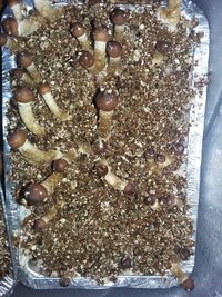 20161013_054404.jpg