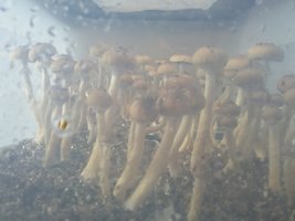 20161013_160743.jpg