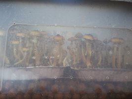 20161013_160814.jpg