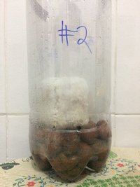 92 - Bolo #2.JPG