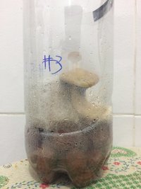 93 - Bolo #3.JPG