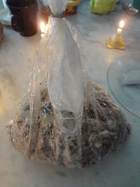 DSC07475 - Cópia.JPG