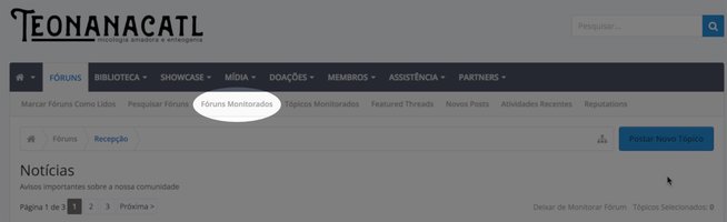 monitorar_forum_05.jpg