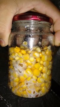 IMG_20161031_172840522.jpg