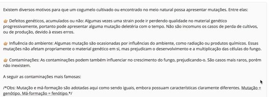 boa_formatacao_03.jpg