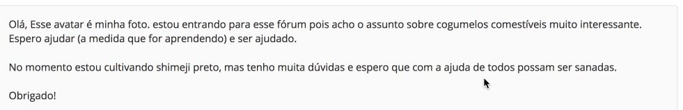 formatacao_01b.jpg