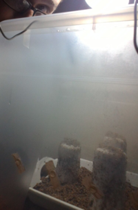 upload_2016-11-2_23-29-10.png