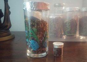 20161104_215147-1.jpg