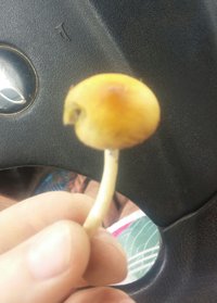 20161106_120208-1.jpg