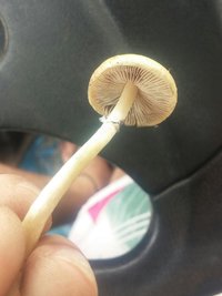 20161106_120211-1.jpg