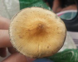 20161106_120317-1.jpg