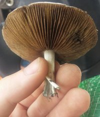 20161106_120420-1.jpg