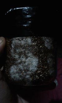 20161107_000535.jpg
