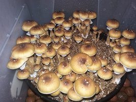 20160910_055236.jpg