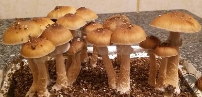 20160623_195032-1.jpg