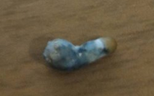 upload_2016-11-11_14-34-53.png
