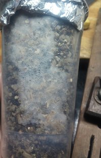 20161114_112300-1.jpg