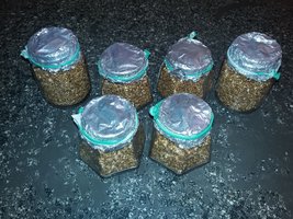 20161119_060708.jpg