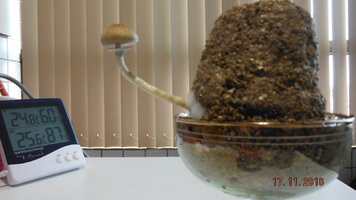 DSCF3270.JPG