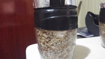 20161121_053902_HDR.jpg