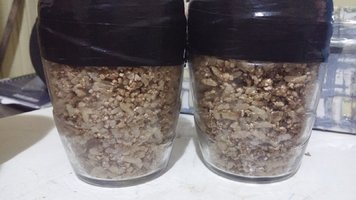 20161121_054154_HDR.jpg