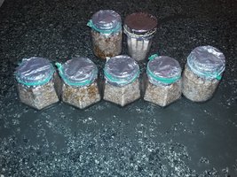 20161126_211002[1].jpg