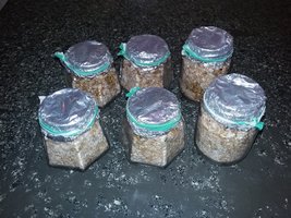20161126_210912[1].jpg