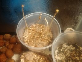 20161128_110247.jpg