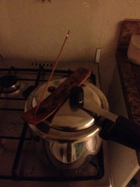 IMG_7279.JPG