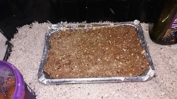20161124_190635.jpg
