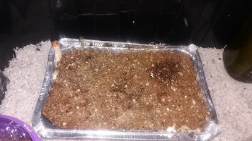 20161128_150419.jpg