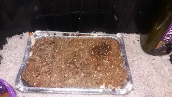 20161128_153313.jpg