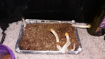 20161202_112335.jpg